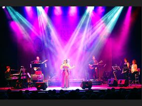 Carpenters Voice of the Heart