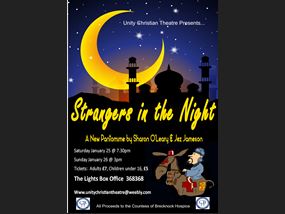 Strangers in the Night version 2